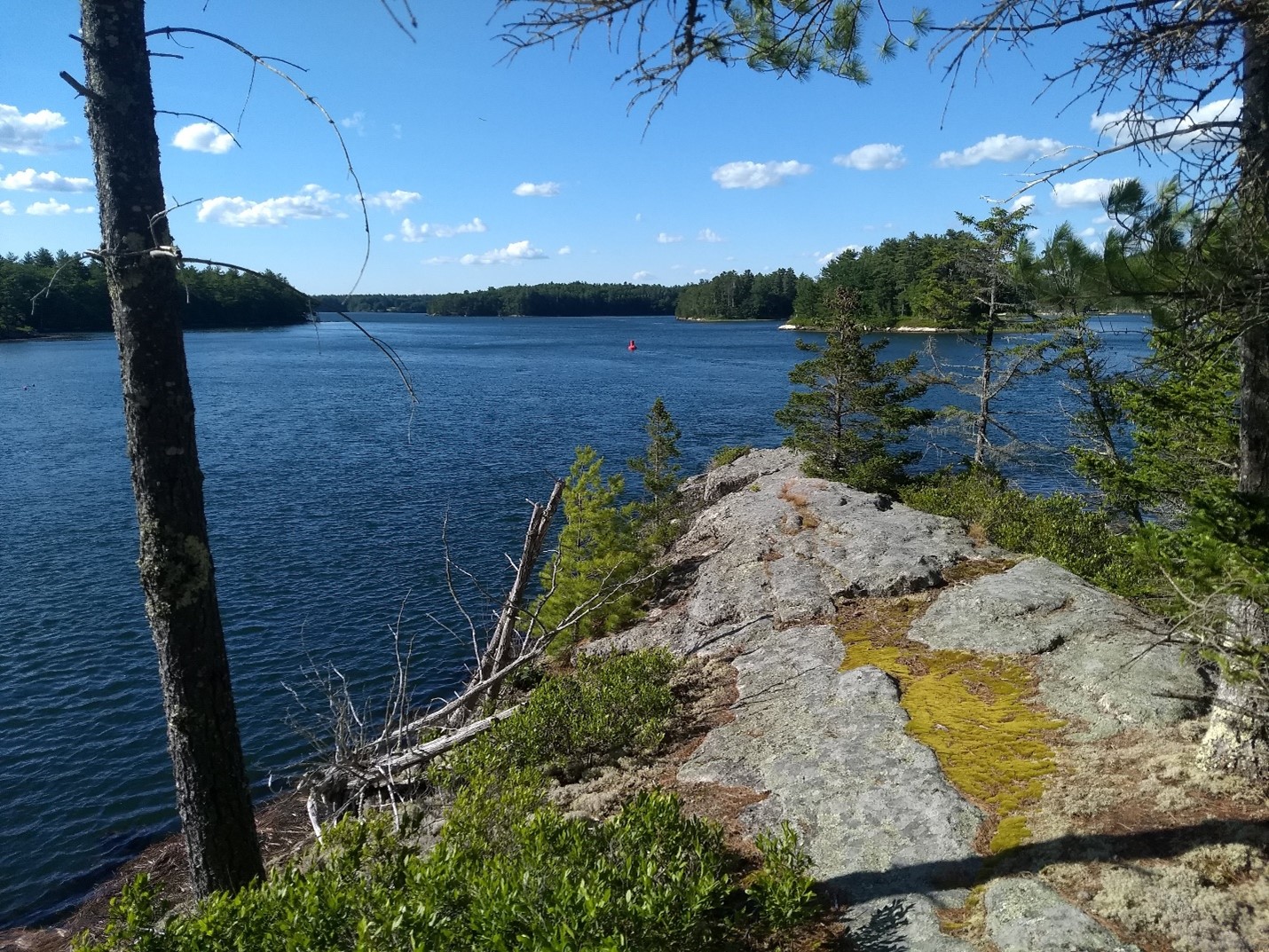 Beal Island Visual Tour